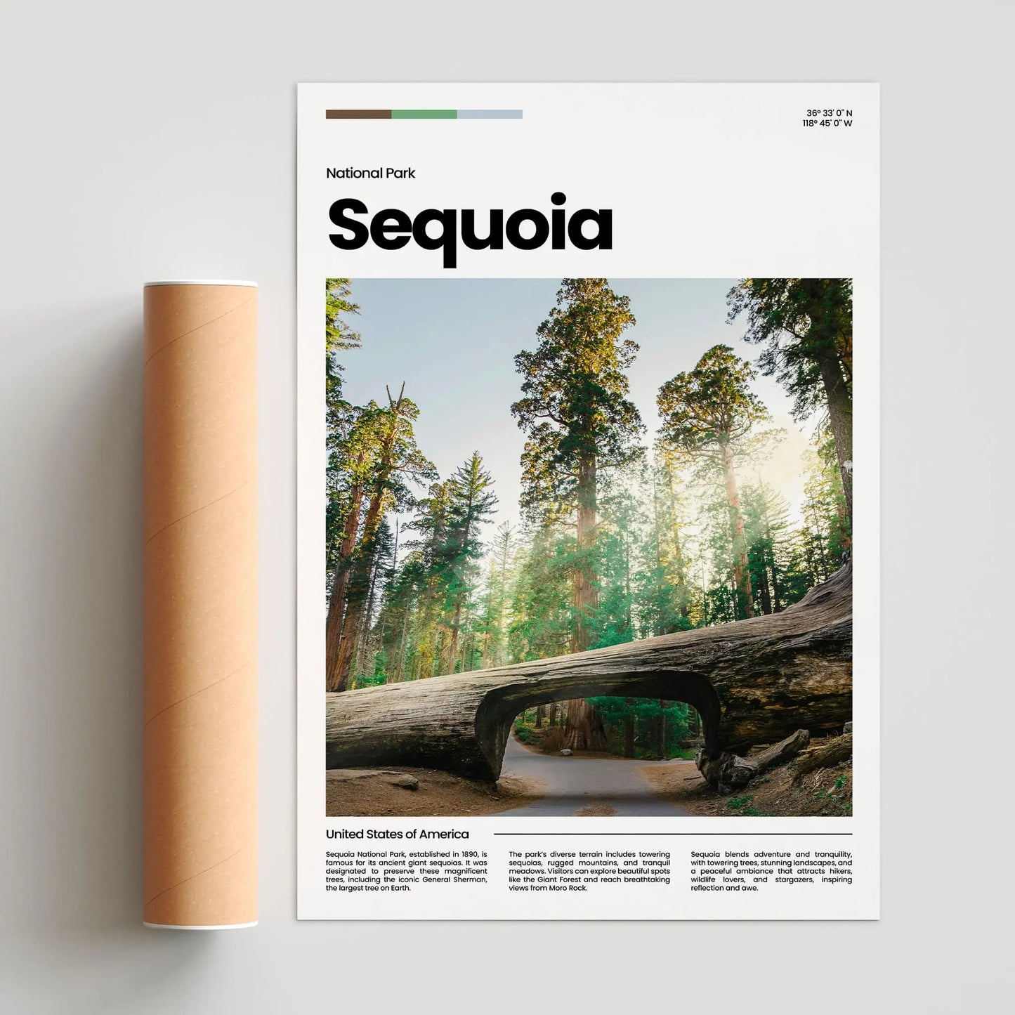 Sequoia Poster