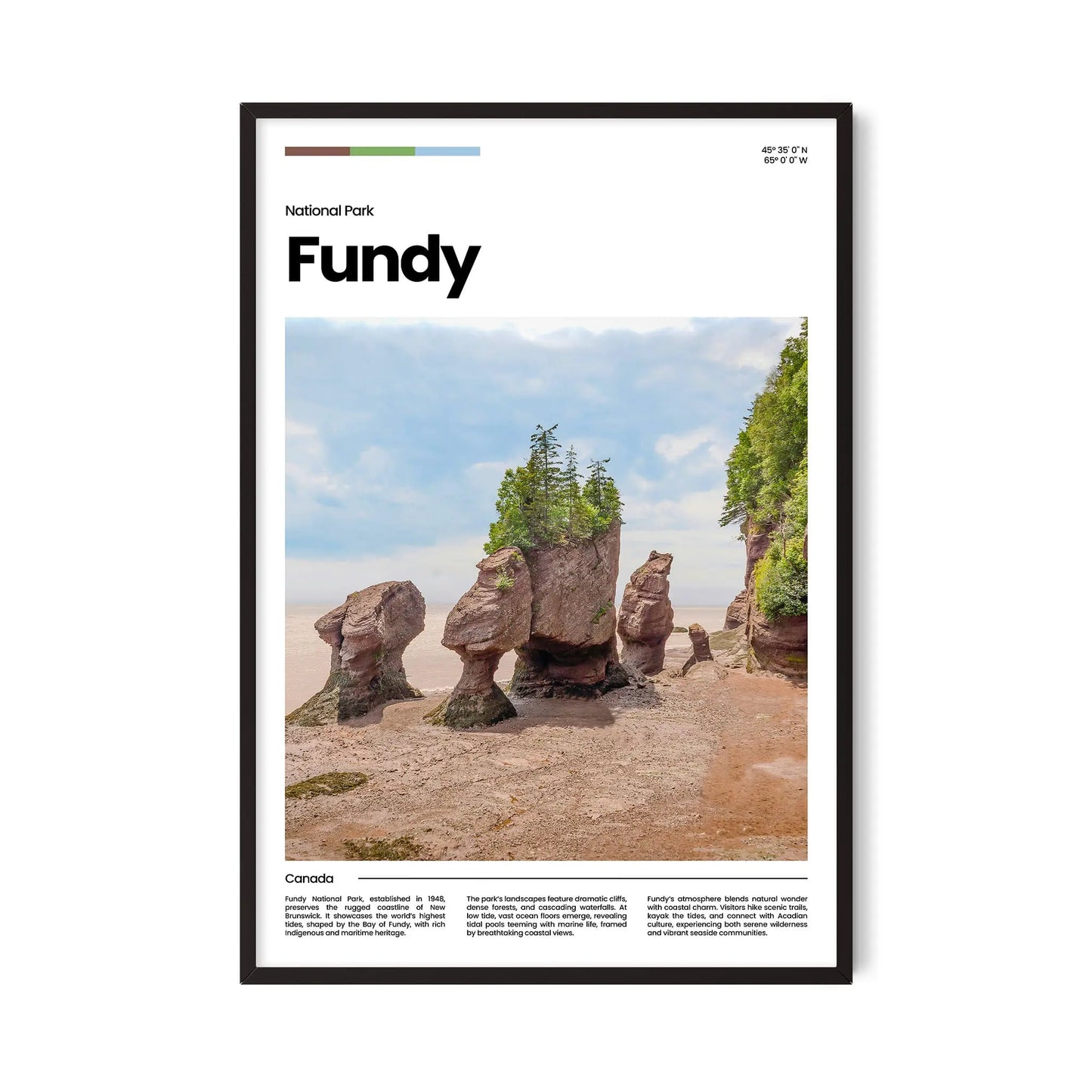 Fundy Poster