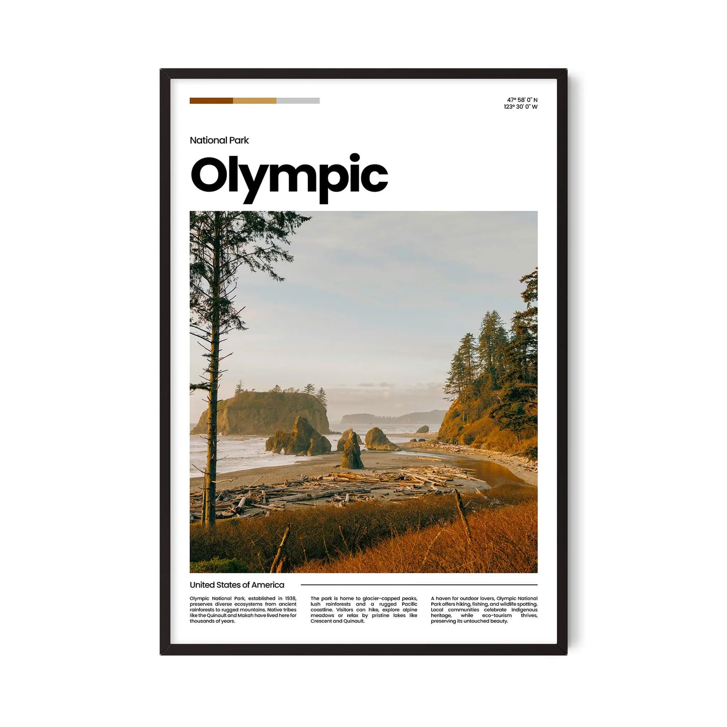 Olympic Poster