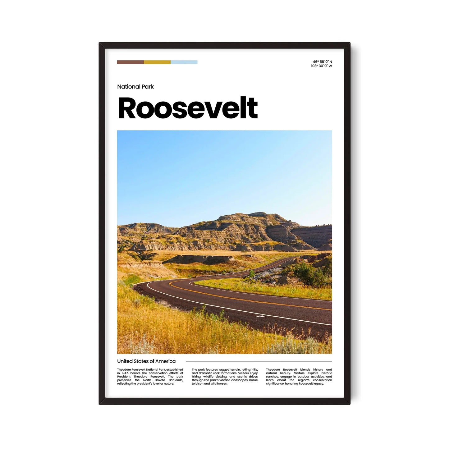 Roosevelt Poster
