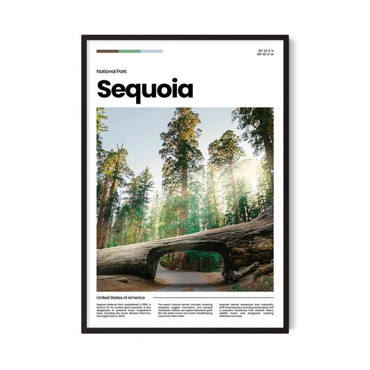 Sequoia Poster