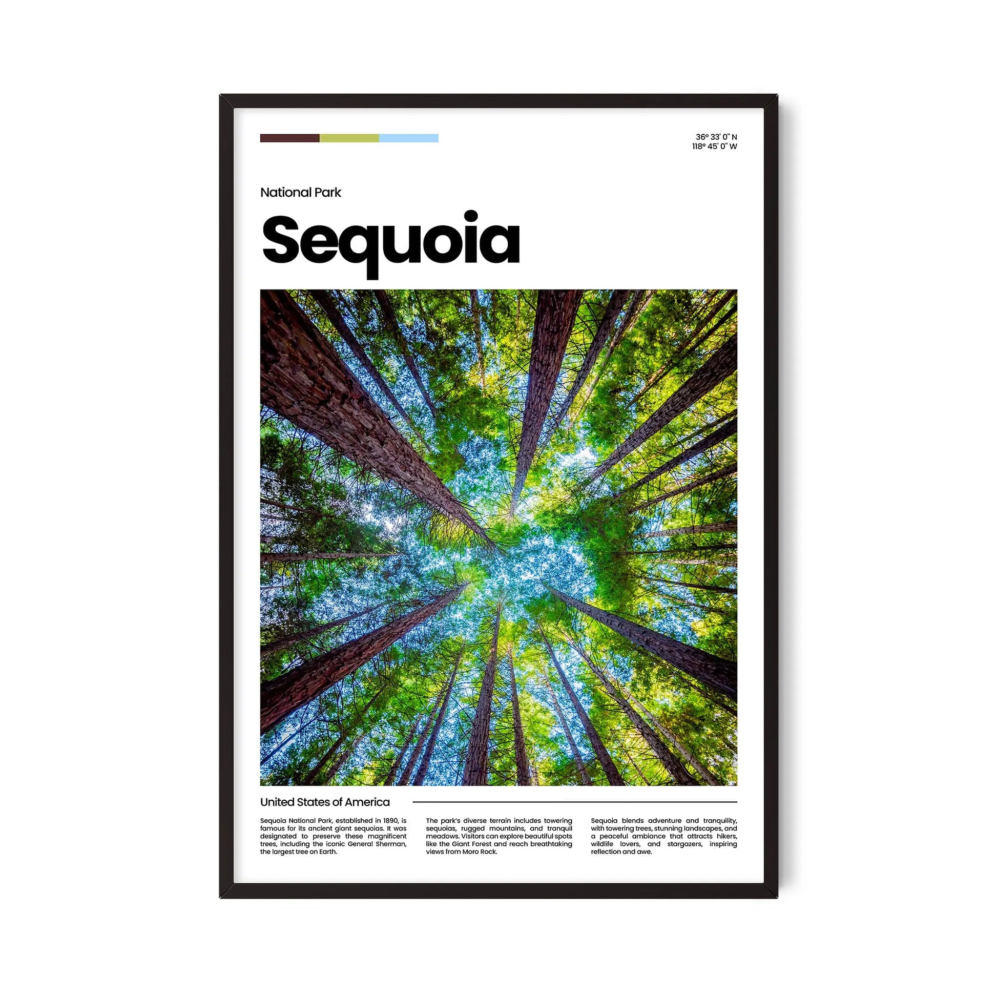 Sequoia Poster – Vintage Wall Art Print