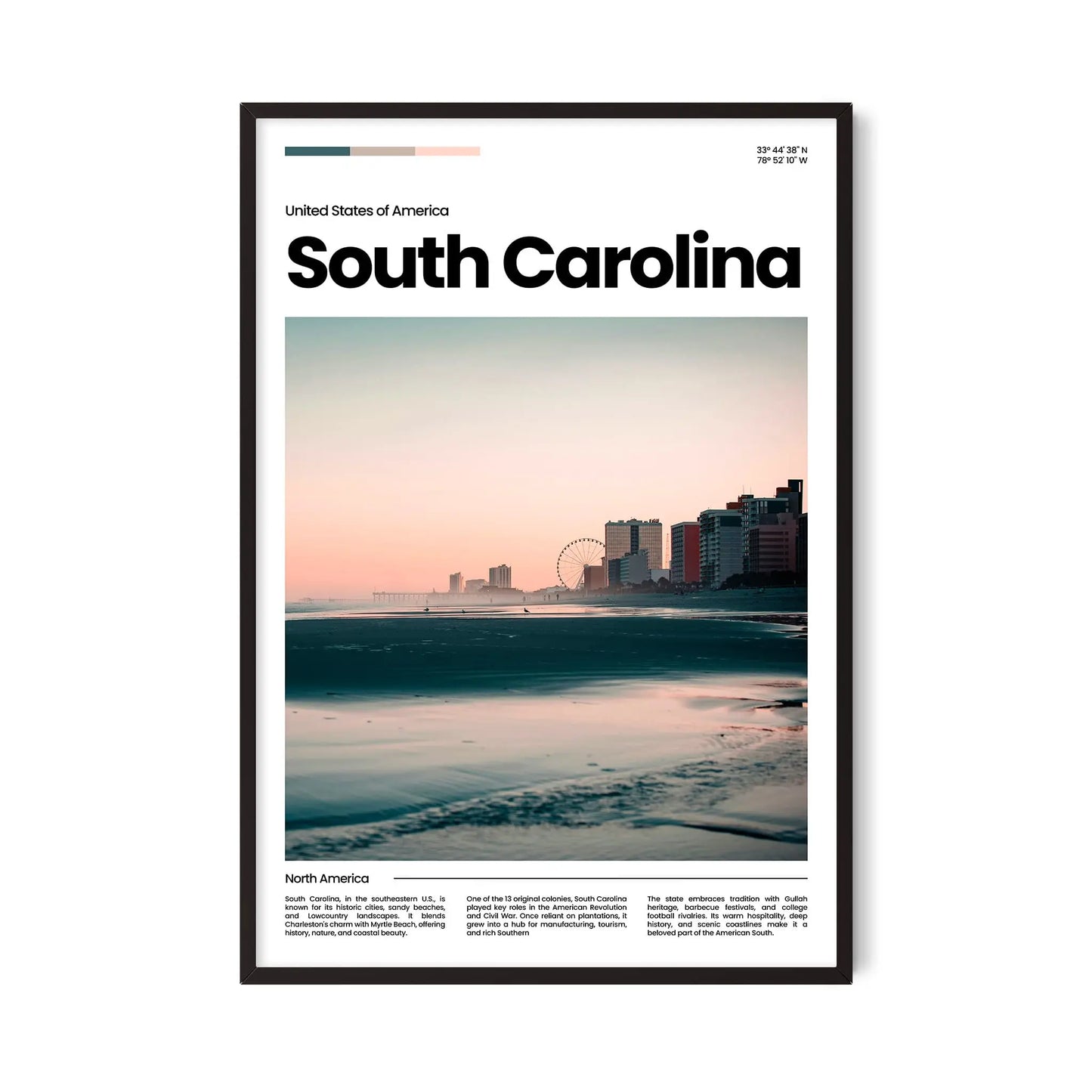 South Carolina Poster