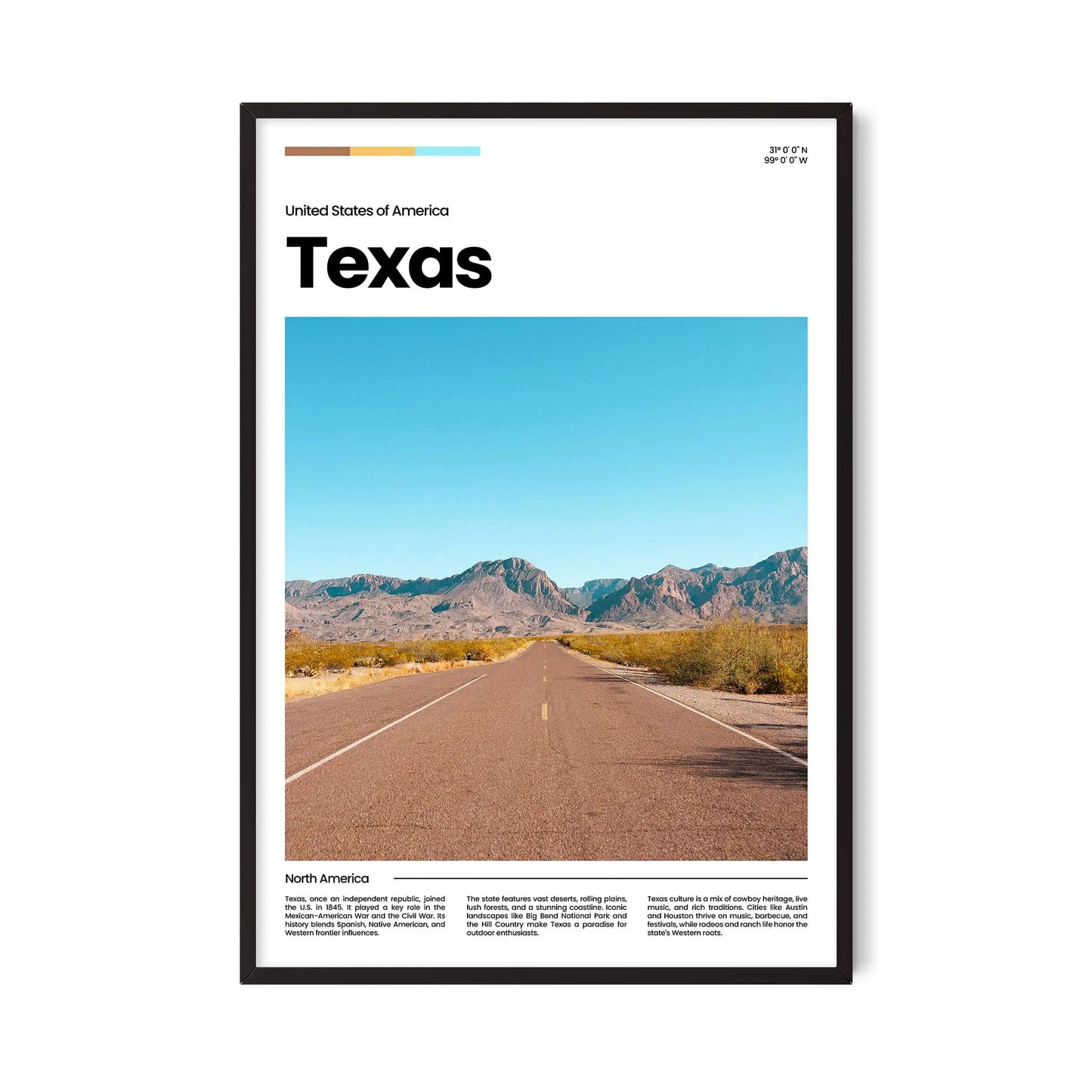 Texas Poster