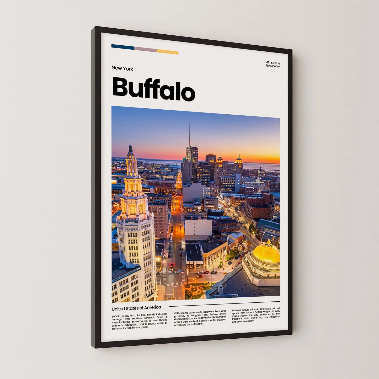 Buffalo Poster