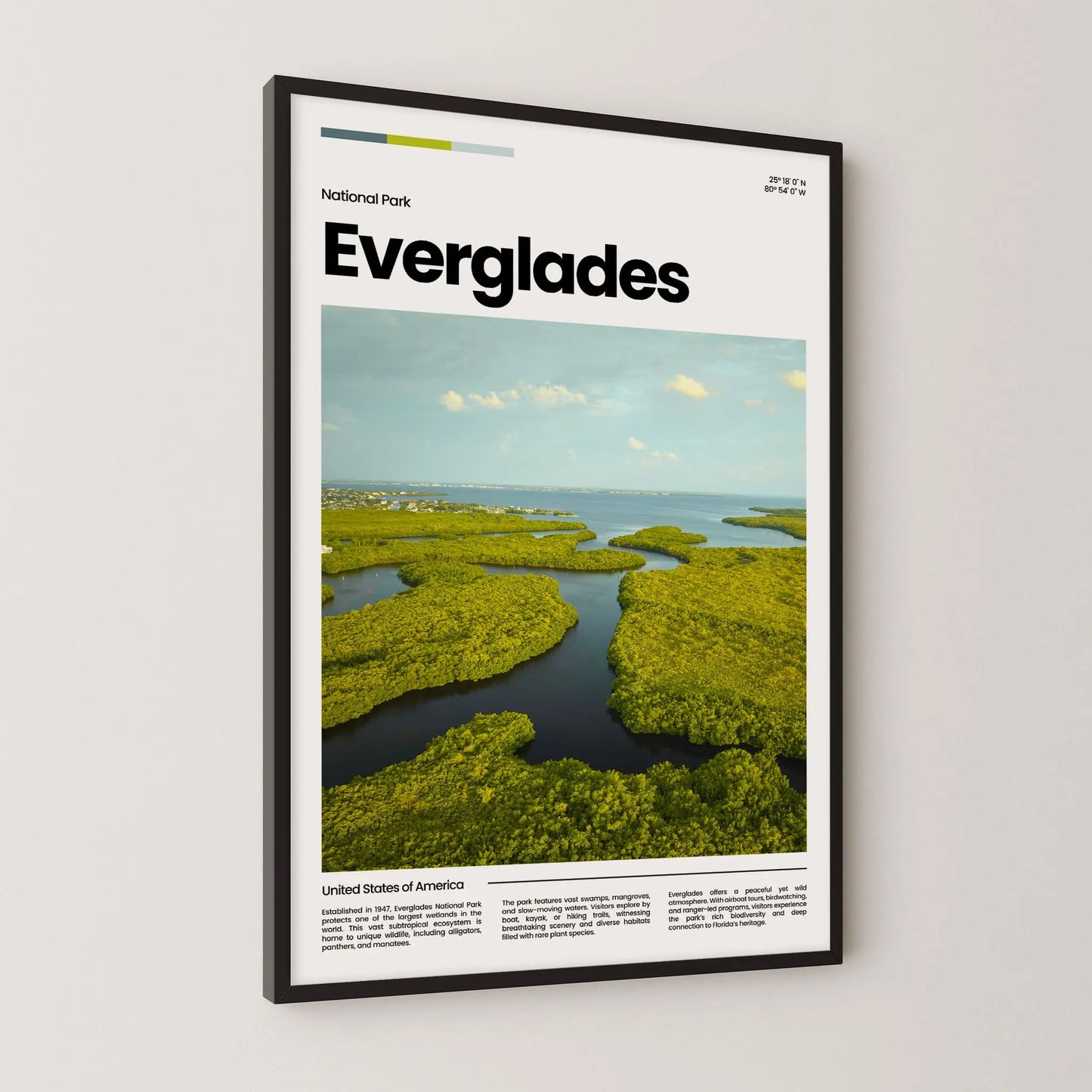 Everglades Poster