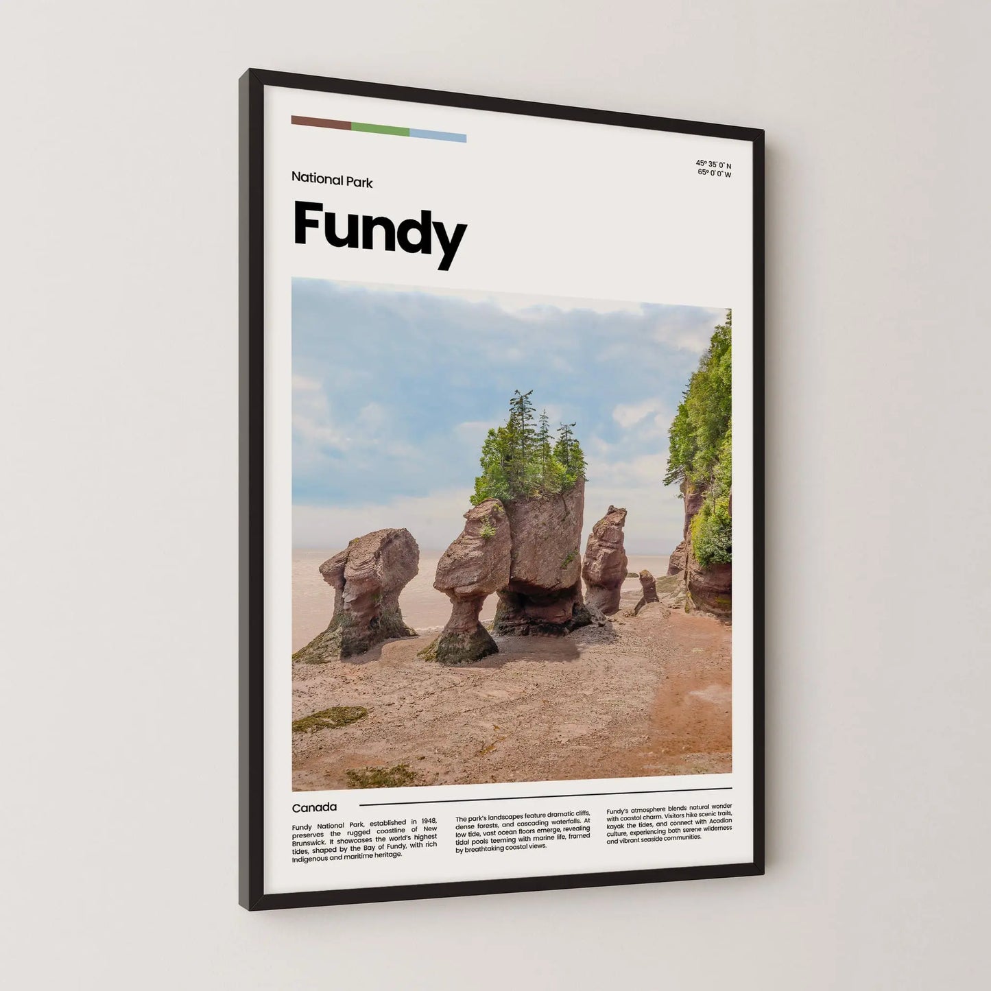 Fundy Poster