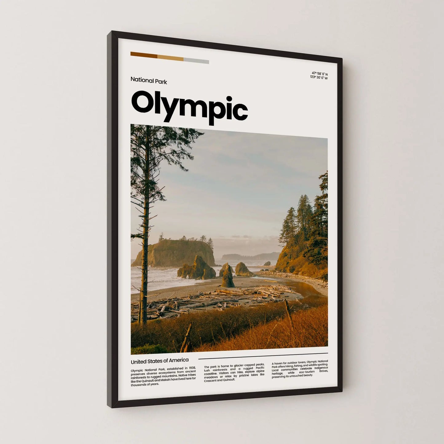 Olympic Poster