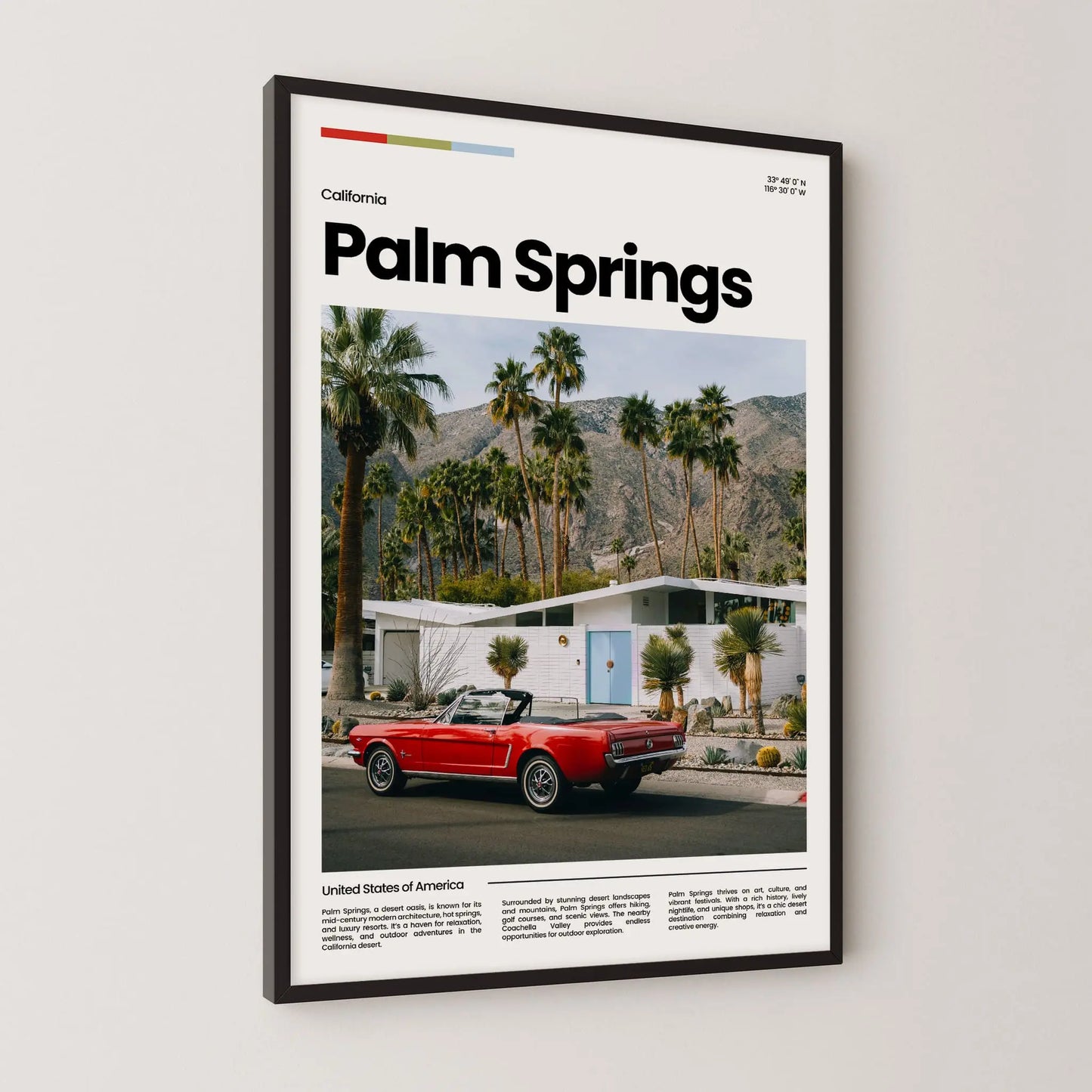 Palm Springs Poster