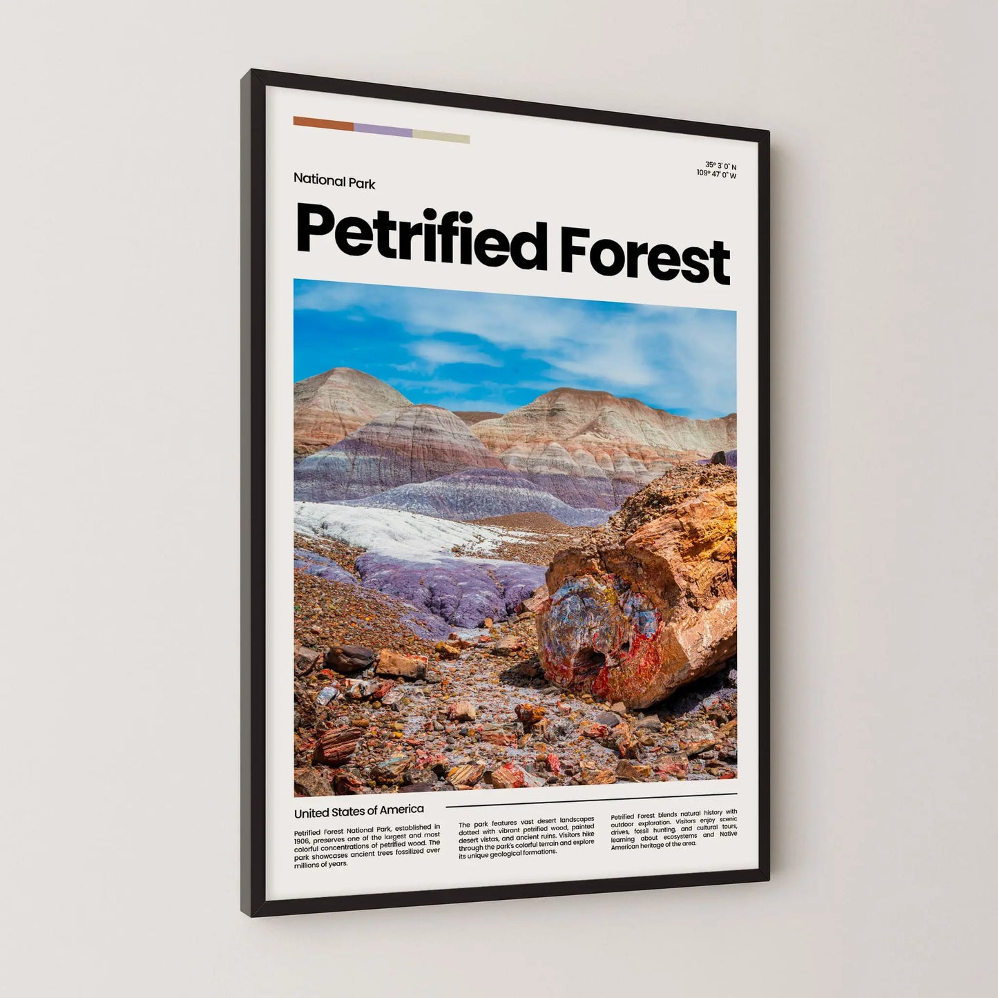 Petrified Forest Poster