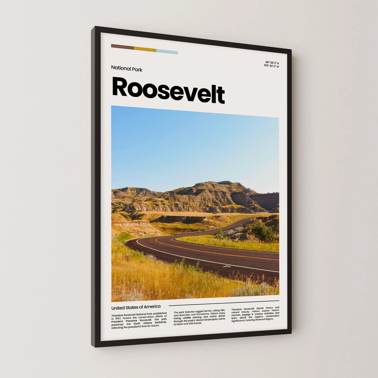 Roosevelt Poster