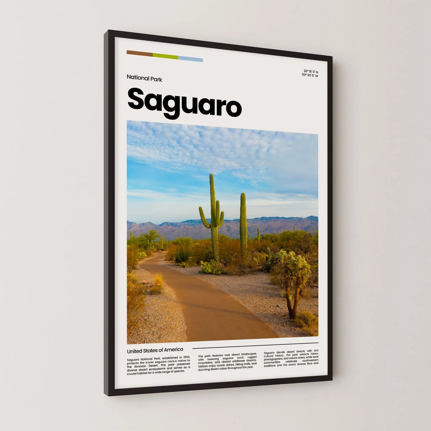Saguaro Poster