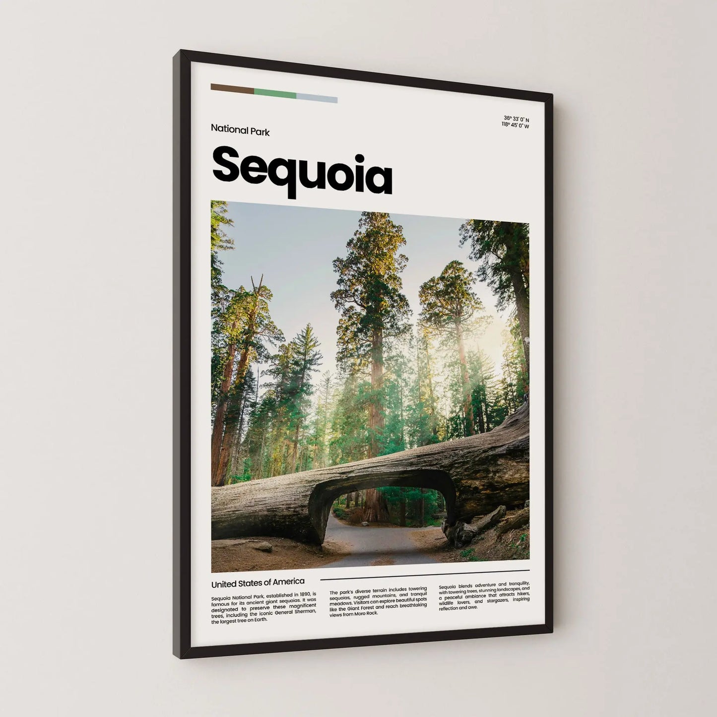 Sequoia Poster