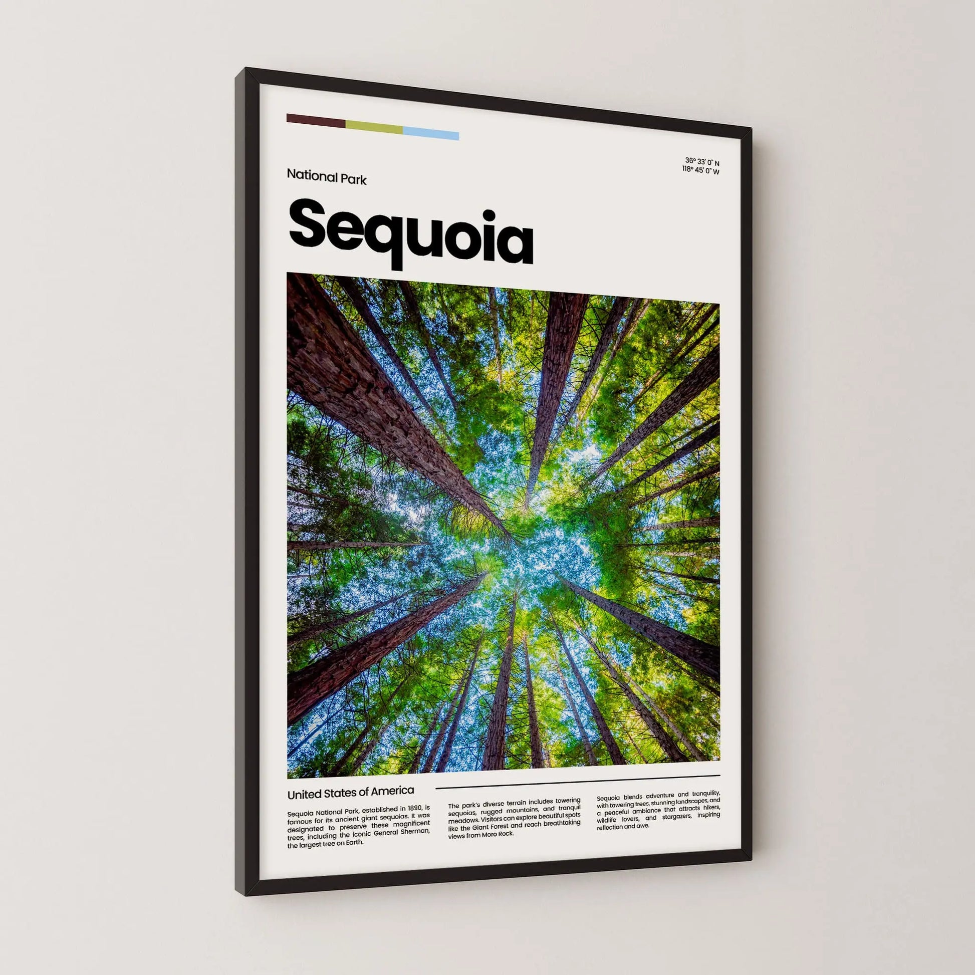 Sequoia Poster – Vintage Wall Art Print