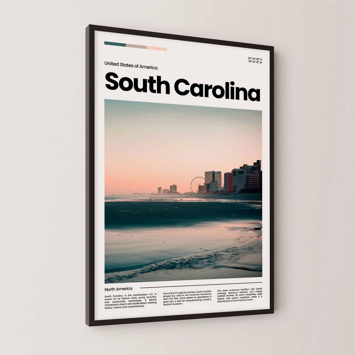 South Carolina Poster