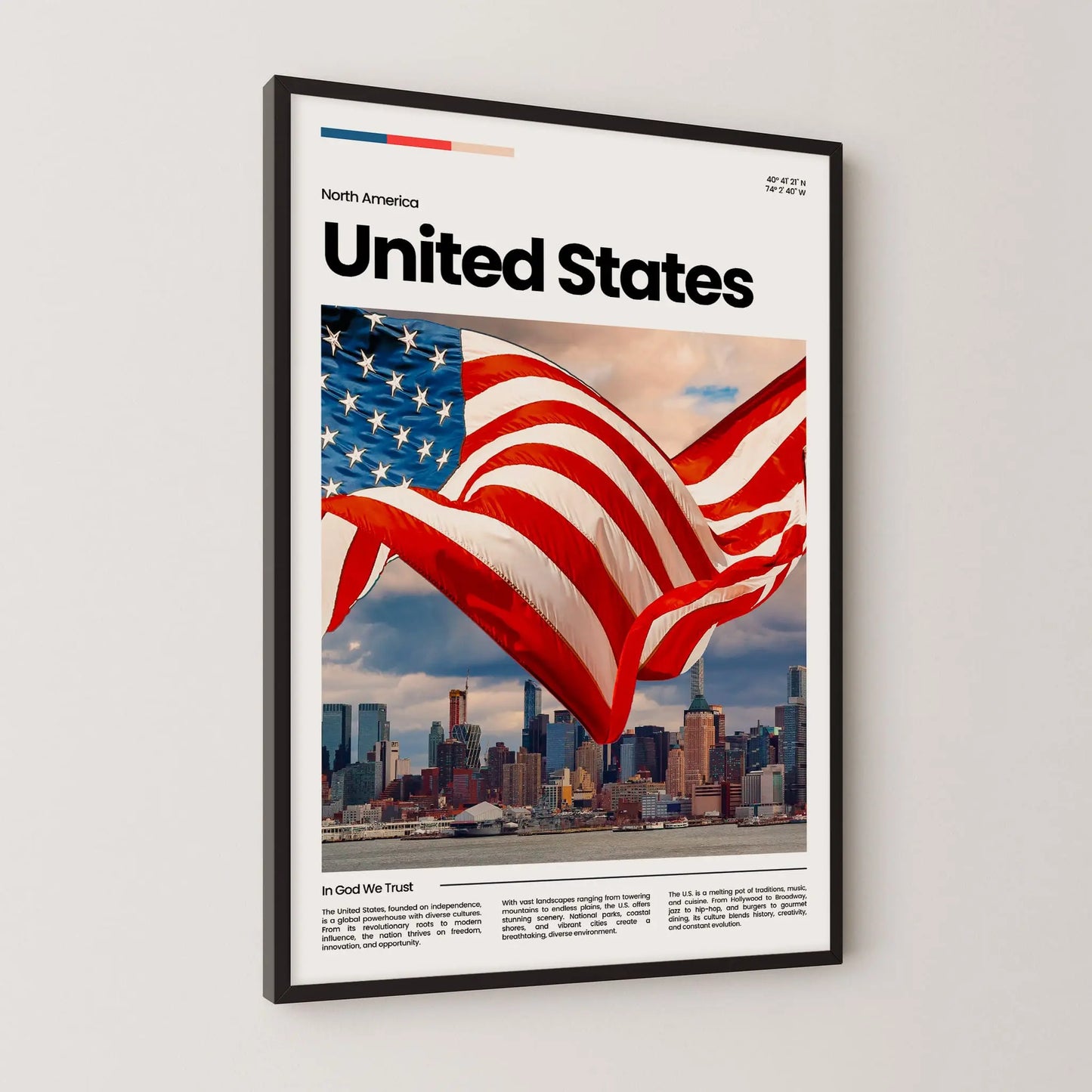 USA Poster