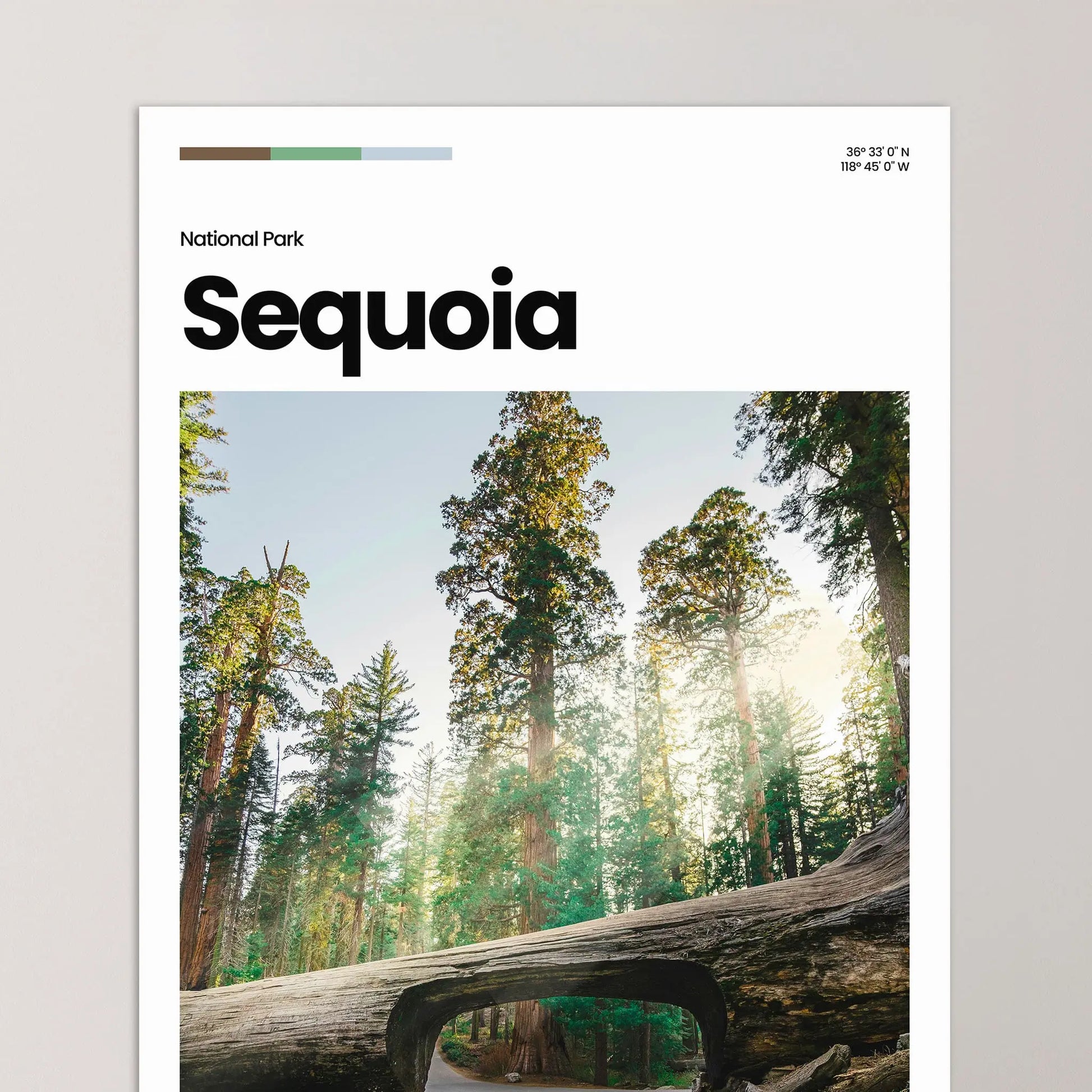 Sequoia Poster – Vintage Wall Art Print