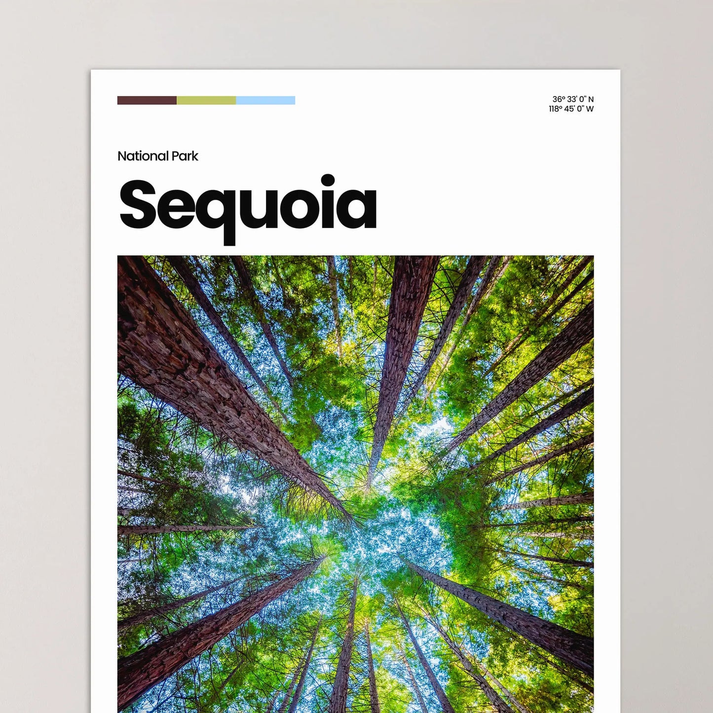 Sequoia Poster