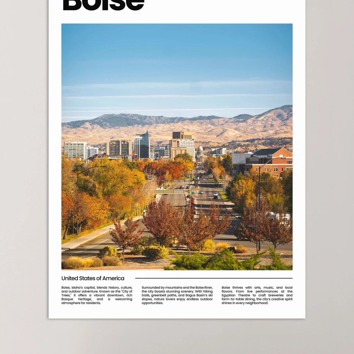 Boise Poster
