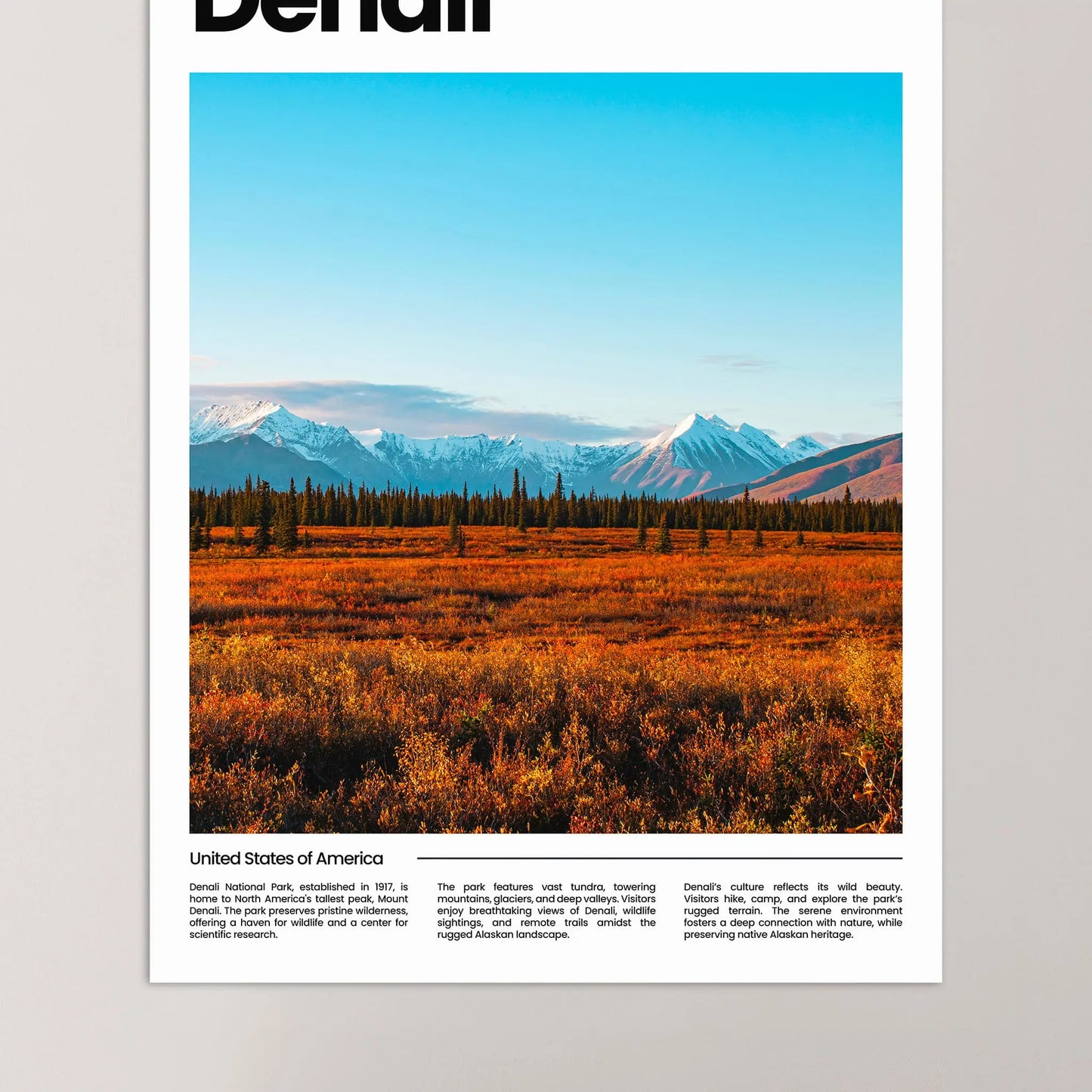 Denali Poster