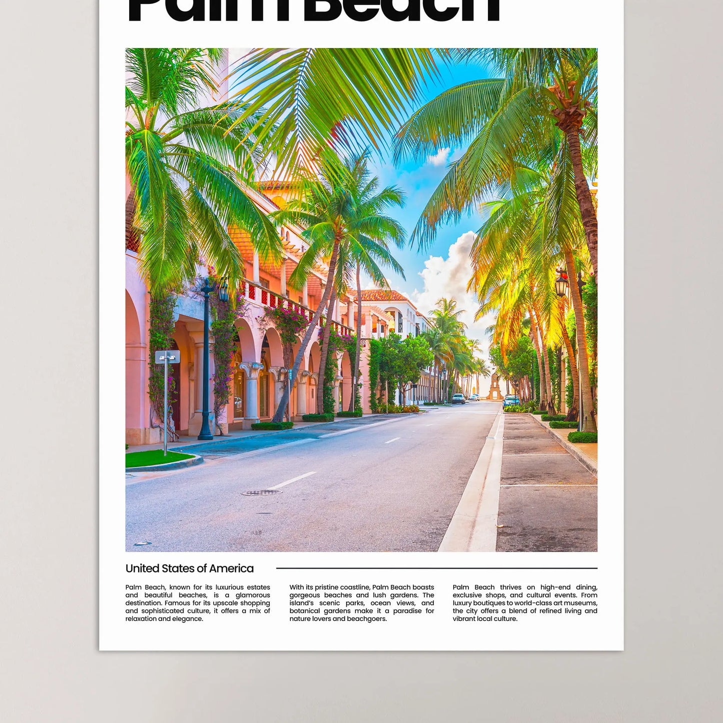 Palm Beach Poster