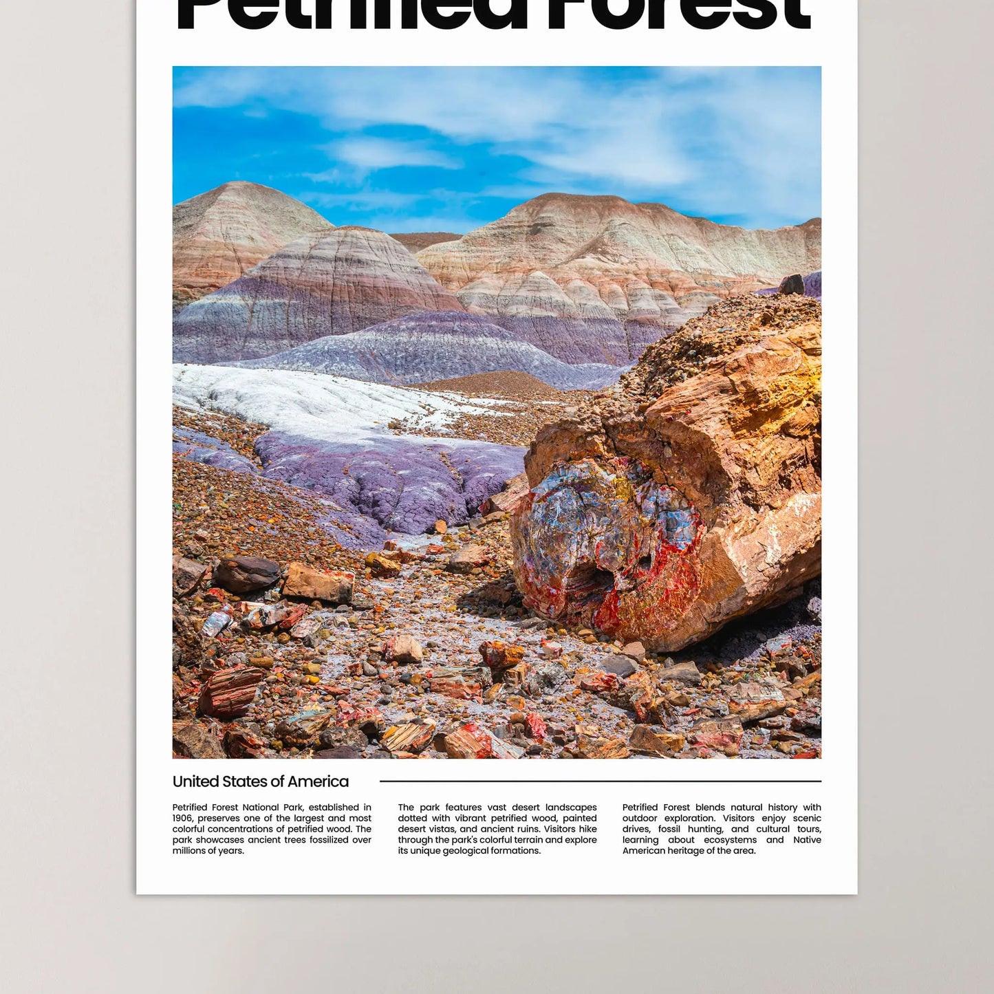 Petrified Forest Poster
