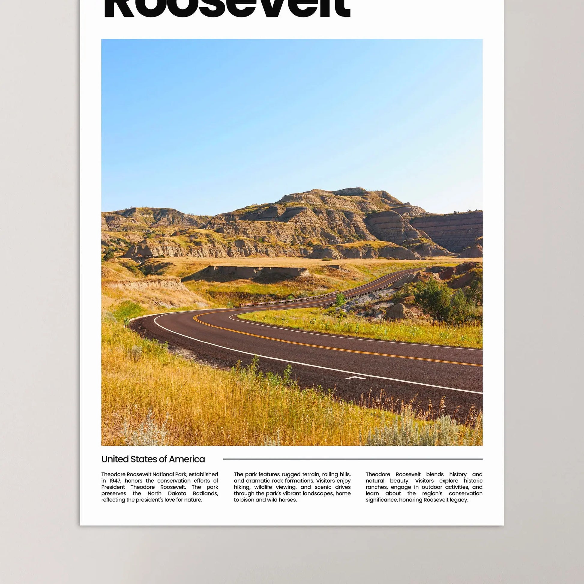 Roosevelt Poster – Vintage Wall Art Print