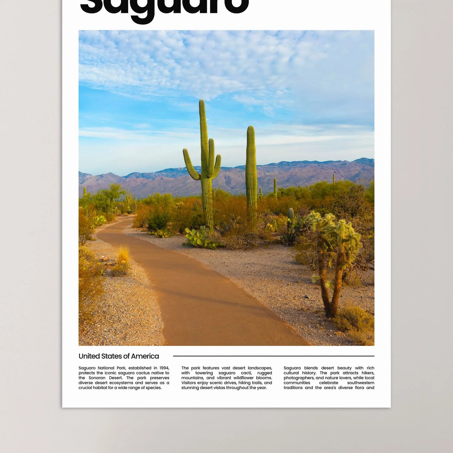 Saguaro Poster