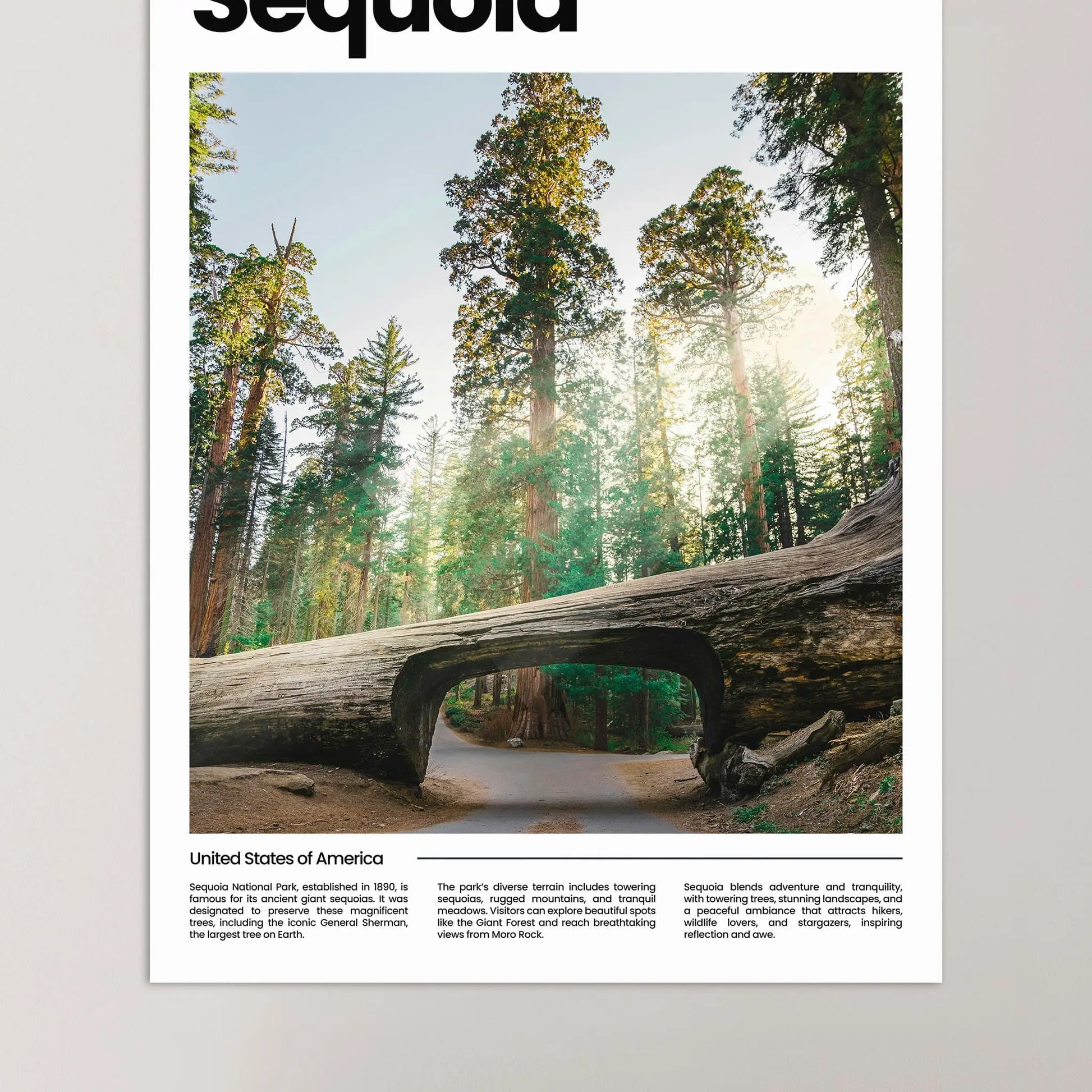 Sequoia Poster – Vintage Wall Art Print