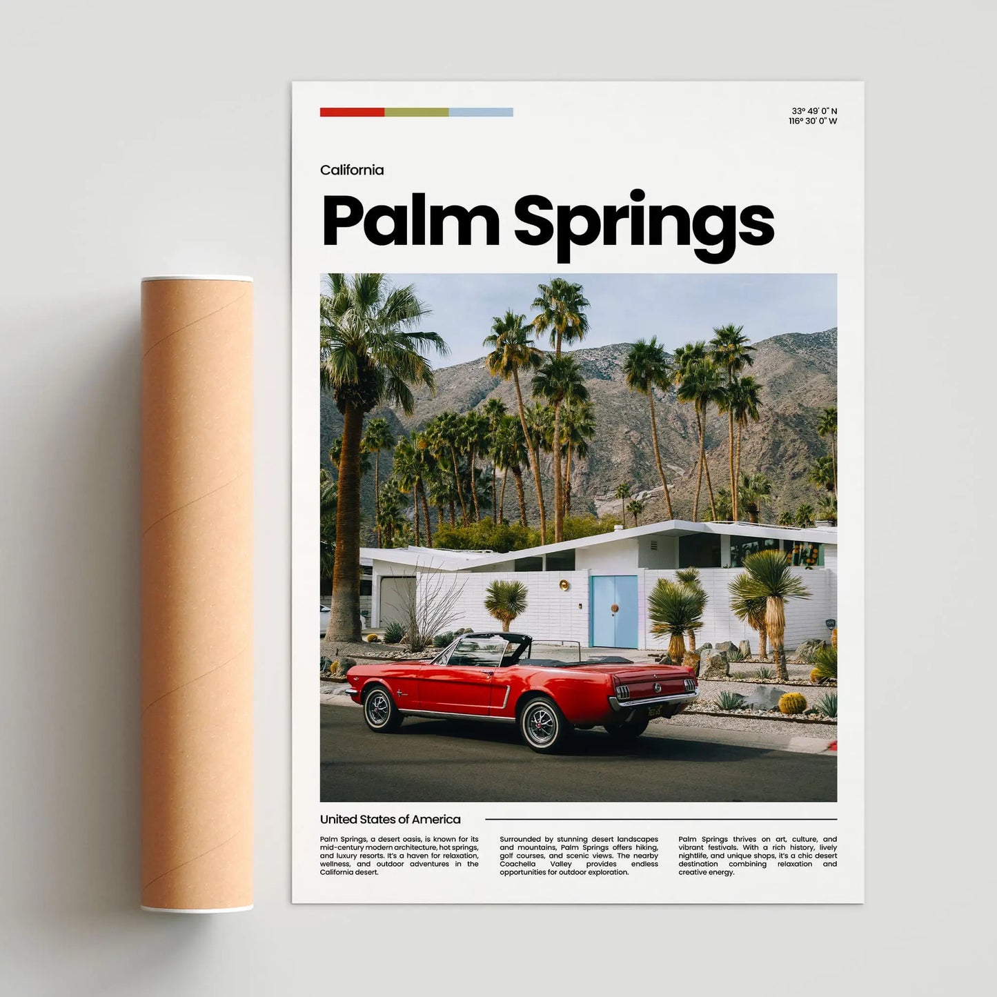 Palm Springs Poster