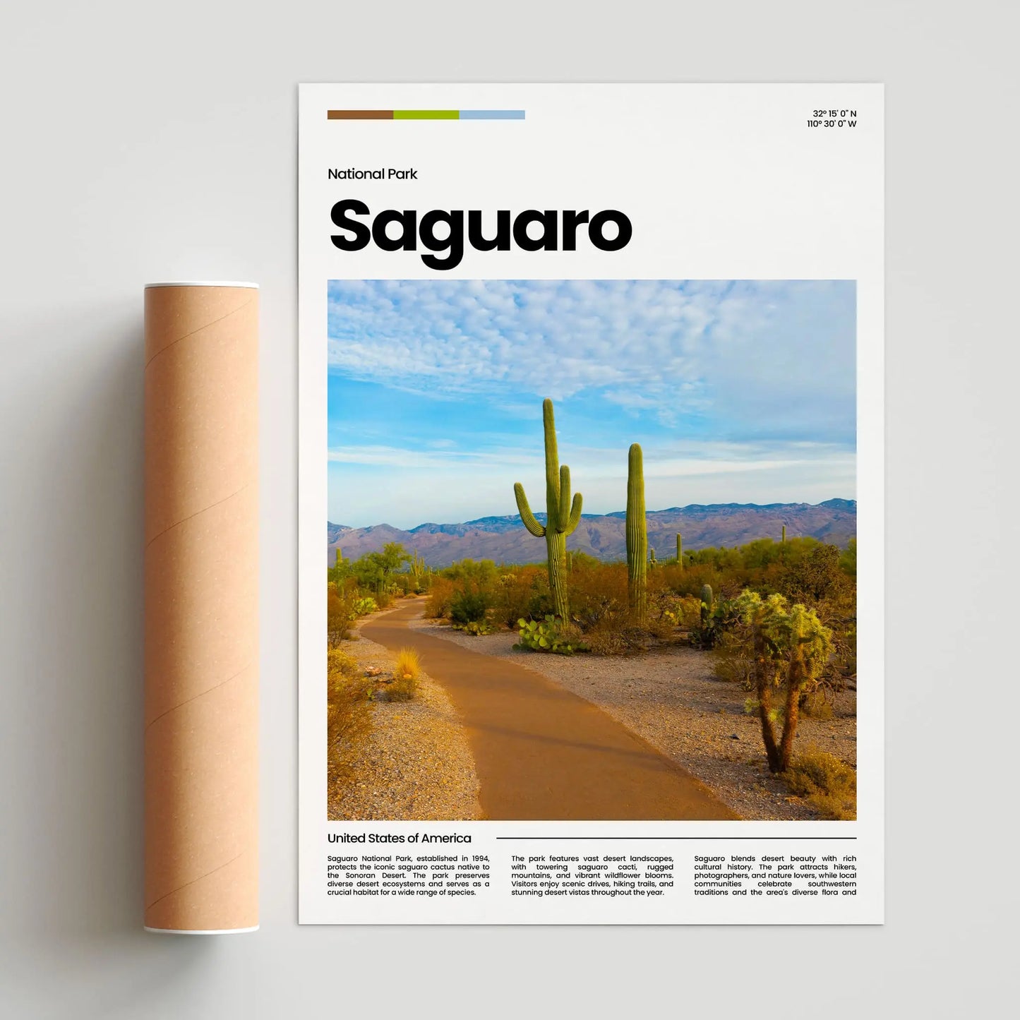 Saguaro Poster