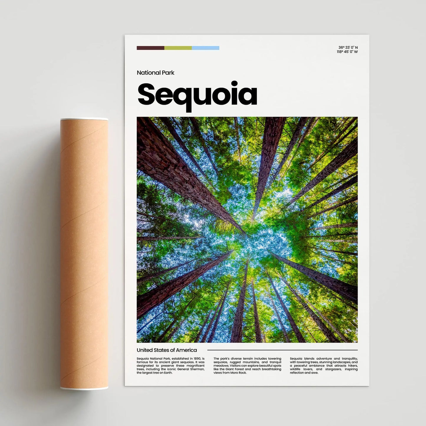 Sequoia Poster