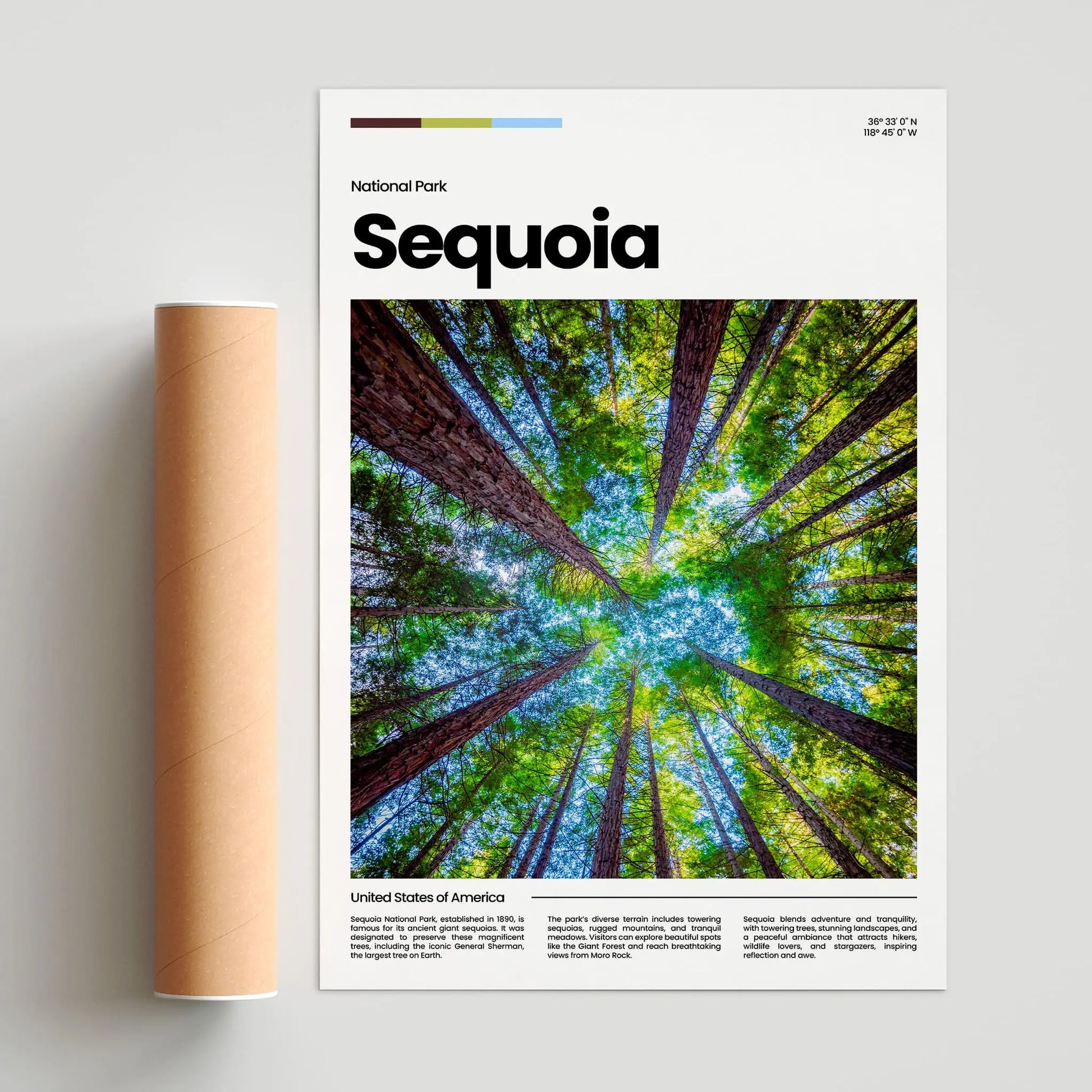 Sequoia Poster – Vintage Wall Art Print